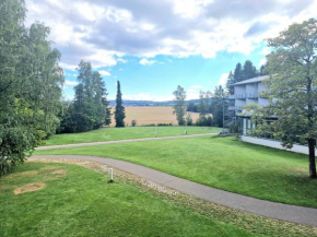 Green Night Hotel Falkenstein/Vogtland